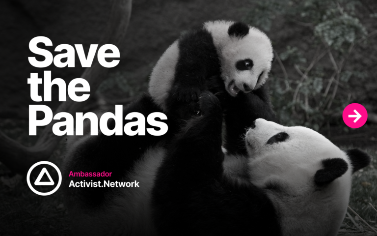 Save the Pandas