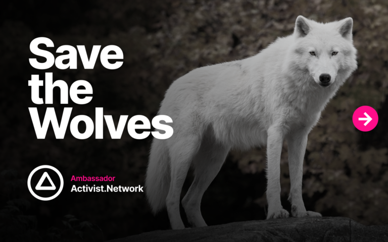 save the wolves