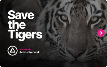 Save the Tigers