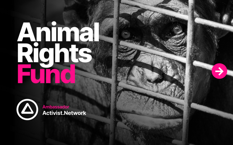 Animal Rights Fund