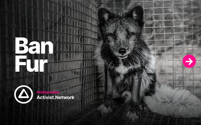 Ban Fur