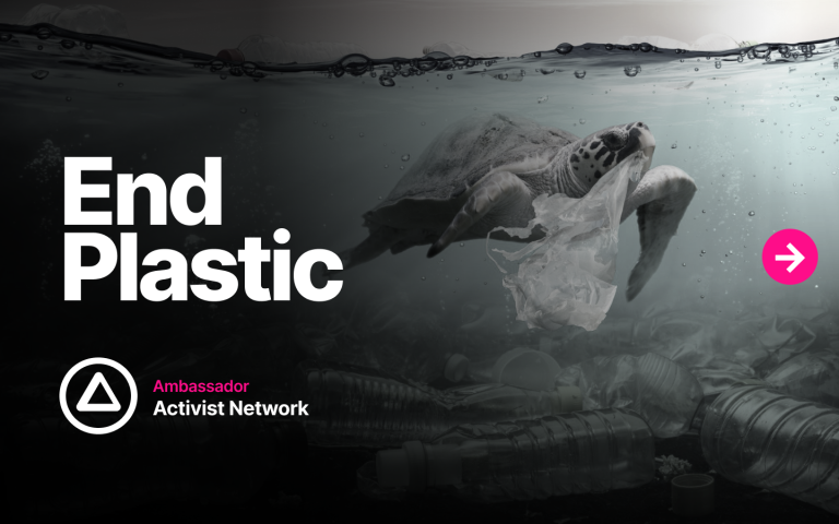 End Plastic