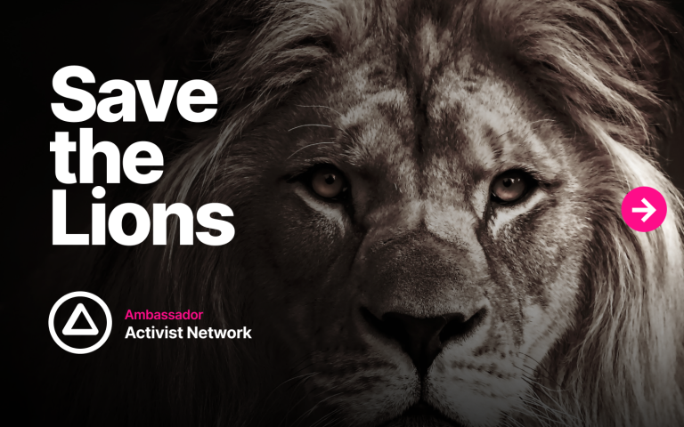 Save the Lions
